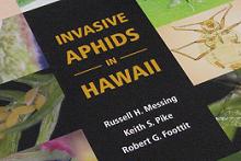 Invasive Aphids in Hawaii book cover